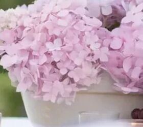 Summer wouldn't be summer without this stunning hydrangeas idea