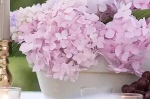 Summer wouldn't be summer without this stunning hydrangeas idea