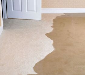 7 Places in Your House You Should Never Put Carpet