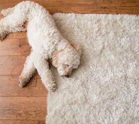 Transform Your Home With These 5 Easy Flooring Upgrades