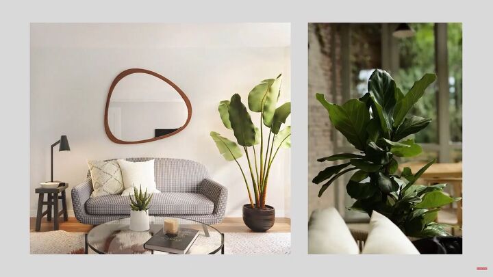 Organic Modern Interior Design: 5 Essential Elements | Redesign