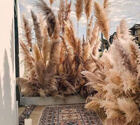 how to decorate with pampas grass styling tips and ideas