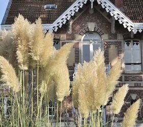 how to decorate with pampas grass styling tips and ideas