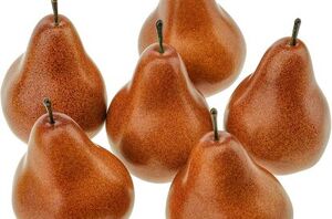 10 beautiful fall items that are missing from your kitchen this month