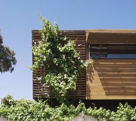 our sustainable timber home in northcote