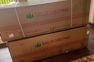 If you want to shop for your dream Christmas tree this season, it's time to start looking NOW