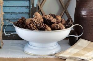 Here's why everyone's stocking up on bags of pine cones this season