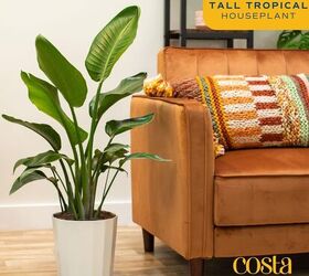 best flooring options for homes