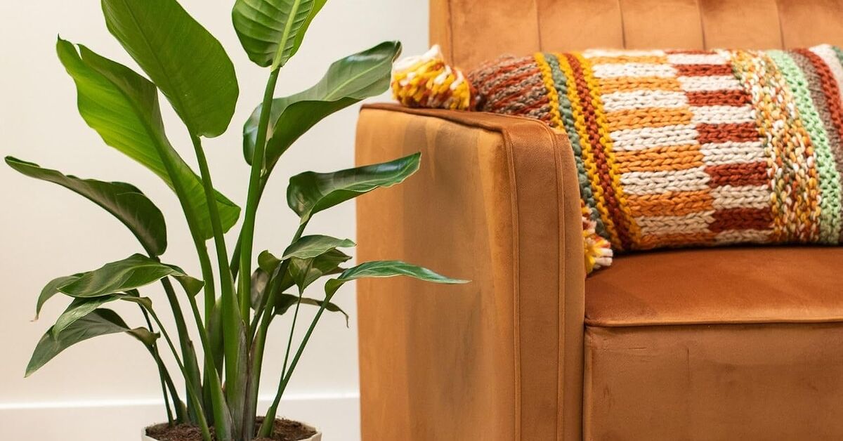 Top 10 Budget Friendly Home Decor Ideas Redesign top-10-budget-friendly-home-decor-ideas-redesign