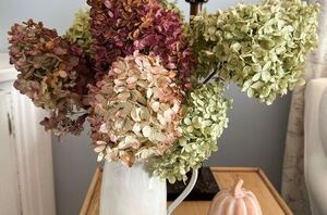 The beautiful reason you should save dried hydrangeas for Christmas