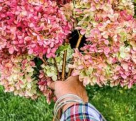 Everyone should be using Hydrangeas in their homes like THIS (so stunning!)