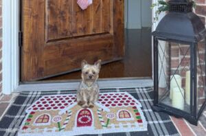 They downsized, but their home still feels full of holiday magic—here's how