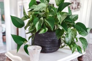 Beat the post-holiday blues with 6 quick and cozy ways to refresh your home this winter