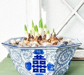 How to grow paperwhites indoors and use them in your winter decor