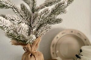 Winter is cold and dark, but these natural winter decor ideas are NOT