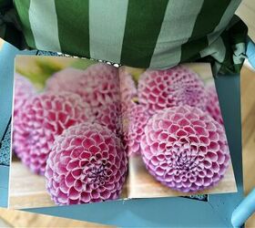 Coffee table books your guests will actually want to flip through