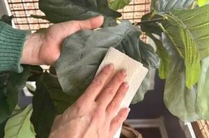 These tricks make faux plants look real—no one will be able to tell!