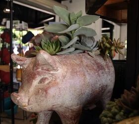 My Top 5 Mother's Day Gift Picks From the Garden Center