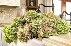 21 way to use hydrangeas to make the most gorgeous decor