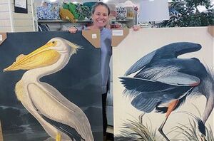 Affordable coastal decor ideas that feel breezy, not cheesy