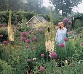 Move over coastal grandma—the "Martha Stewart aesthetic" is taking over