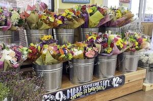 Trader Joe's flowers: What to buy and what to skip