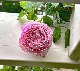 Why everyone's suddenly adding this chic garden feature (Taylor & Travis inspired)