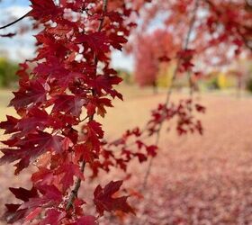 The cozy updates that make your home feel like fall instantly