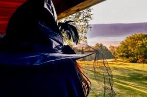 Here's a "witchy" Halloween porch idea that will stop traffic