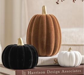 The chic pumpkins everyone’s decorating with for Thanksgiving