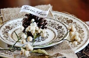 21 ideas for decorating with pinecones for your fall and Christmas decor (and they are free)