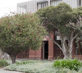 View of Biophilic Interiors: 21 Projects that Blend Architecture ... - ArchDaily