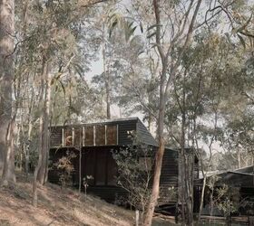Why this forest house feels calmer than most modern builds