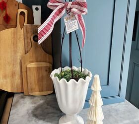 Low-Scent Paperwhite Varieties | Redesign