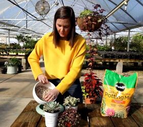 How to create a quick and easy winter succulent planter 