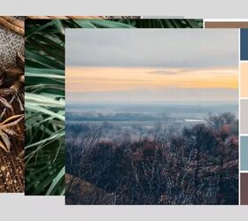 Top biophilic design styles to make your home healthier