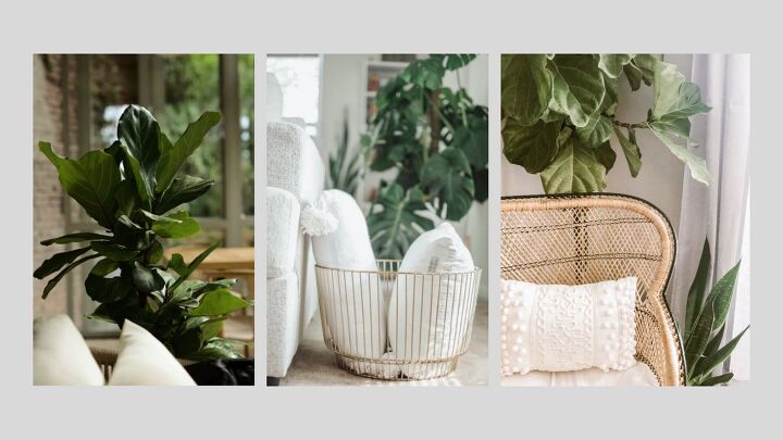 Spring Design Tips to Reconnect Your Home With Nature | Redesign