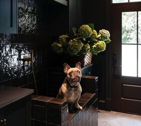 Petcore: The Design Trend That Puts Pets at the Center of the Home ...