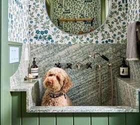 Petcore: The Design Trend That Puts Pets at the Center of the Home ...
