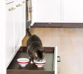 Petcore: The Design Trend That Puts Pets at the Center of the Home ...