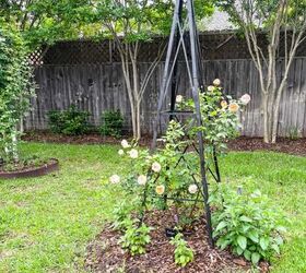 7 Top Metal Garden Trellis Ideas for Climbing Plants and Roses | Redesign