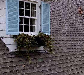 Your window boxes need THIS for spring