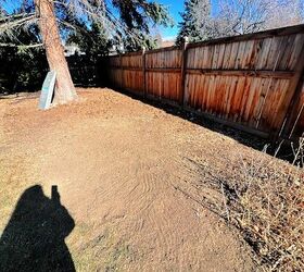 We cleared this space—and now I have a big idea