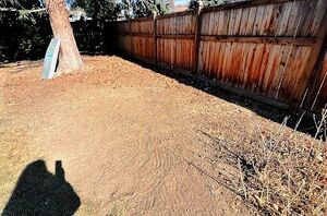 We cleared this space—and now I have a big idea