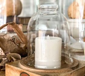 21+ Best Decor to Decorate a Glass Dome Cloche | Redesign