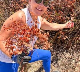 This is how to create a stunning bouquet—for free