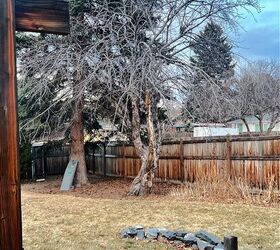 We removed one thing from our yard—and now I can finally do this