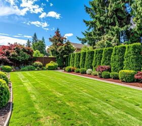 The quiet trend replacing traditional lawns across North America—and the one corner of your yard to start with