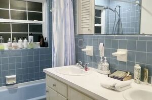 What was hiding behind the walls of this small guest bath changed everything about the remodel