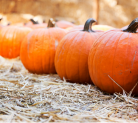 How to add beautiful fall decor to your home without using pumpkins